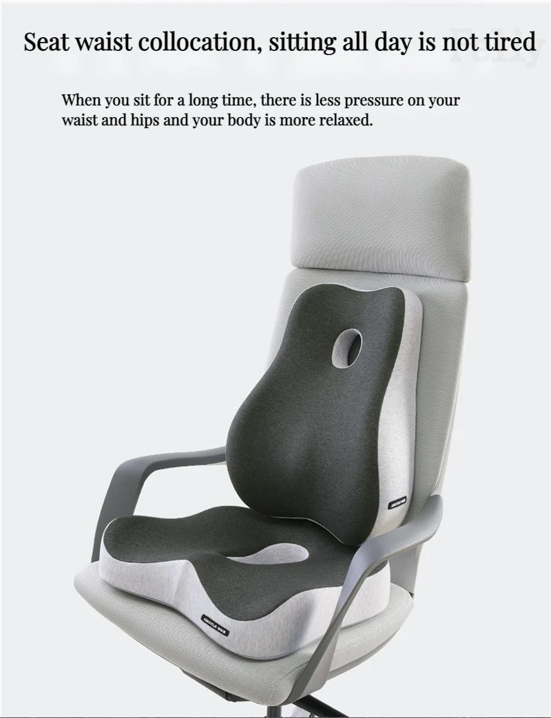 Comfortable Sitting™  - Lumbar and Seat Cushions